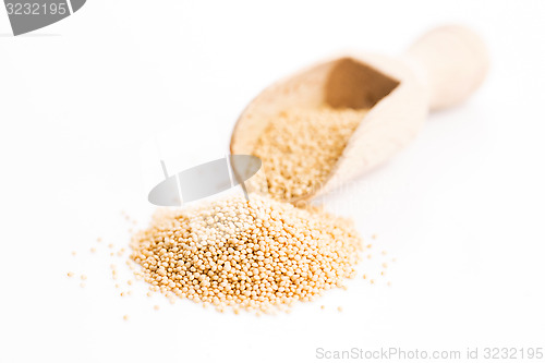 Image of Raw Organic Amaranth Grain