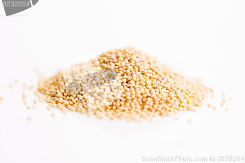 Image of Raw Organic Amaranth Grain