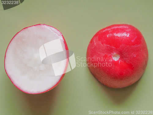 Image of Radish vegetable 