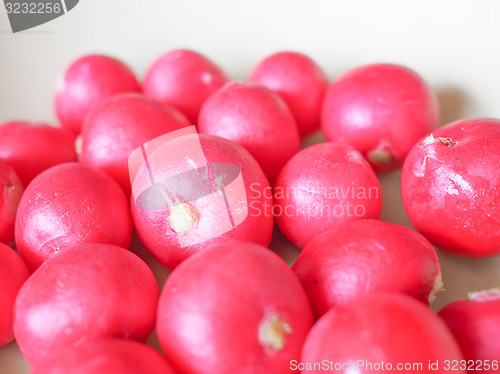 Image of Radish vegetable 