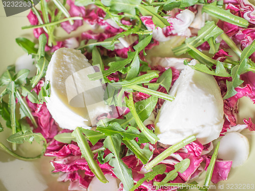 Image of Lettuce salad