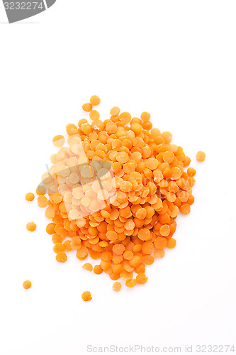 Image of Lentils Isolated on White Background