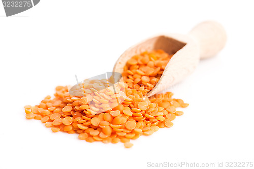 Image of Lentils Isolated on White Background