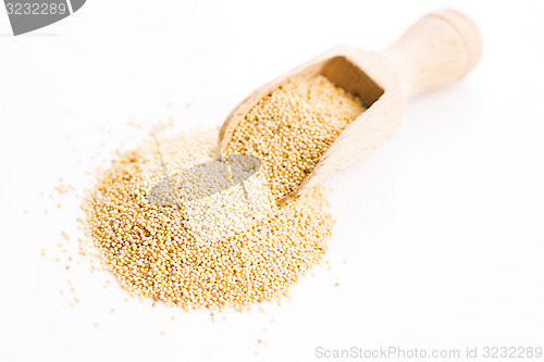 Image of White poppy seeds