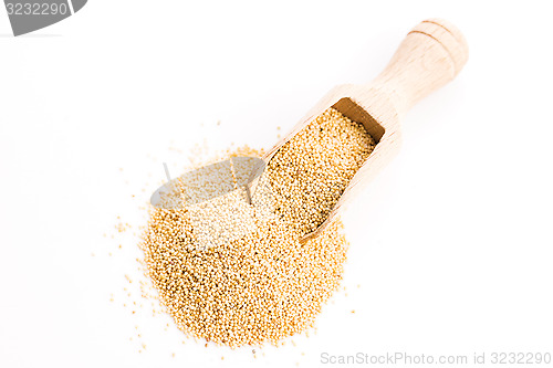 Image of White poppy seeds