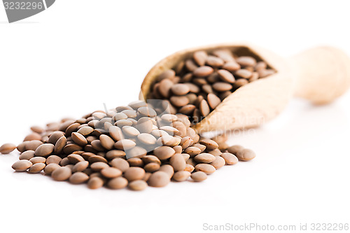 Image of Lentils Isolated on White Background