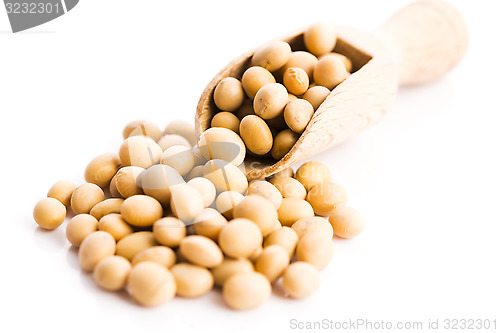 Image of soya beans