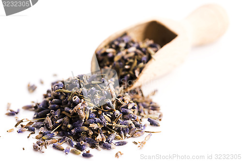 Image of Lavender Herb Bud Flower tea Heap pile surface top view isolated