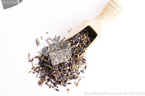 Image of Lavender Herb Bud Flower tea Heap pile surface top view isolated