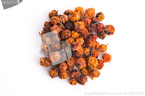 Image of Dried rowan berries on a white background 