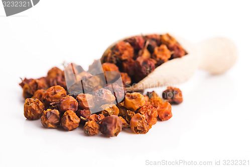 Image of Dried rowan berries on a white background 