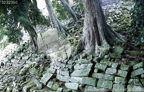 Image of LATIN AMERICA HONDURAS COPAN