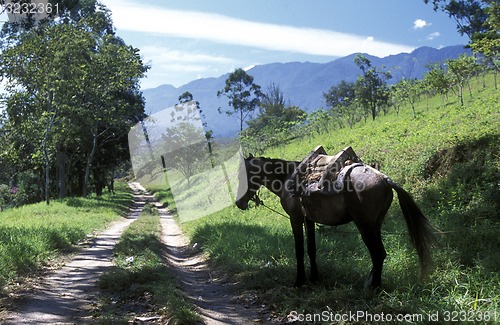 Image of LATIN AMERICA HONDURAS GARCIAS