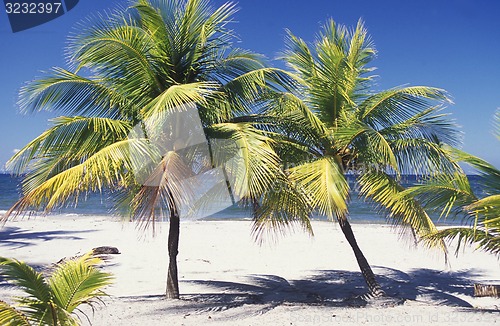 Image of LATIN AMERICA HONDURAS CARIBIAN SEA