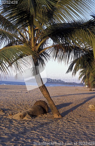 Image of LATIN AMERICA HONDURAS CARIBIAN SEA