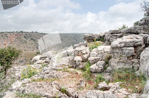 Image of Spring season landscape