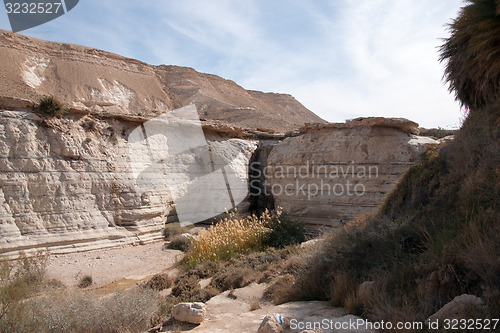 Image of Water spring in a desert