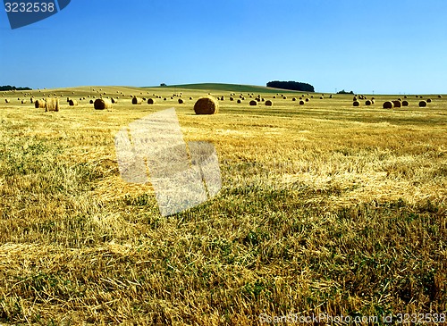 Image of Straw bales