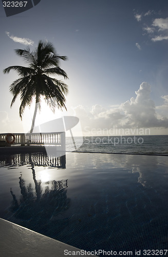 Image of infinity pool with float caribbean sea