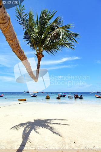 Image of  in  kho tao thailand bay asia isle   beach  