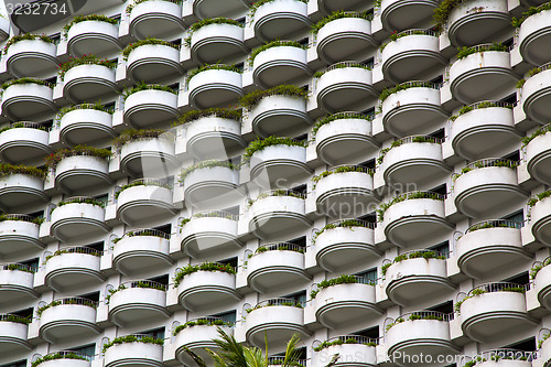 Image of   window plant terrace of the centre  bangkok thailand