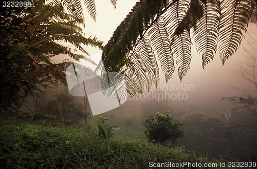 Image of LATIN AMERICA HONDURAS COPAN