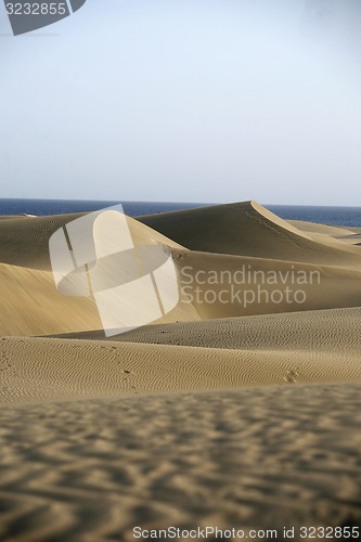 Image of EUROPE SPIAN GRAN CANARY