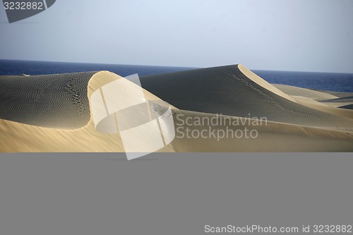 Image of EUROPE SPIAN GRAN CANARY