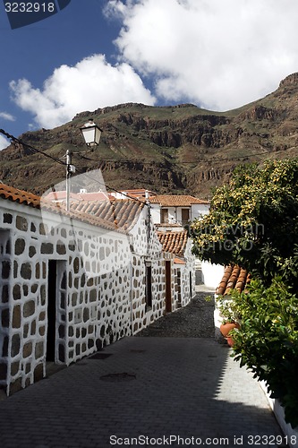 Image of EUROPE SPIAN GRAN CANARY 