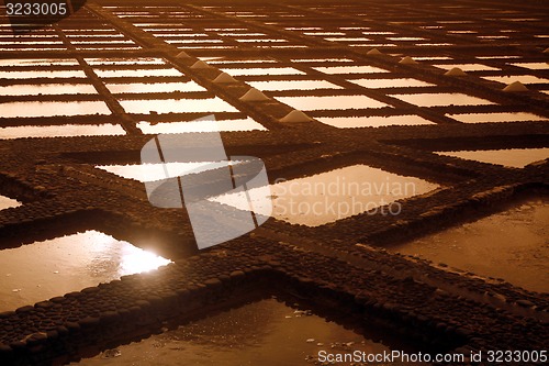 Image of EUROPE CANARY ISLANDS FUERTEVENTURA