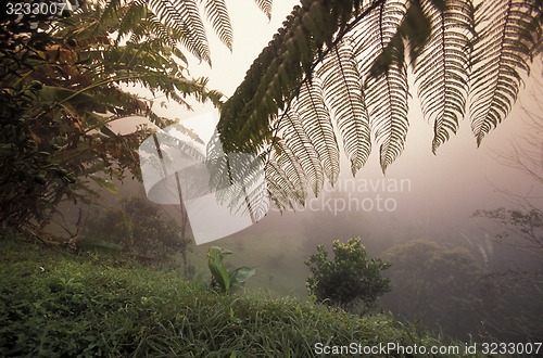 Image of LATIN AMERICA HONDURAS COPAN