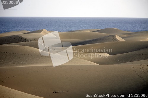 Image of EUROPE SPIAN GRAN CANARY
