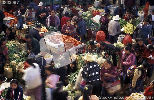 Image of LATIN AMERICA GUATEMALA CHICHI