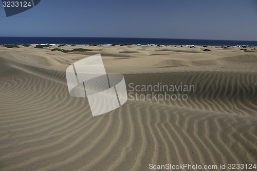 Image of EUROPE SPIAN GRAN CANARY