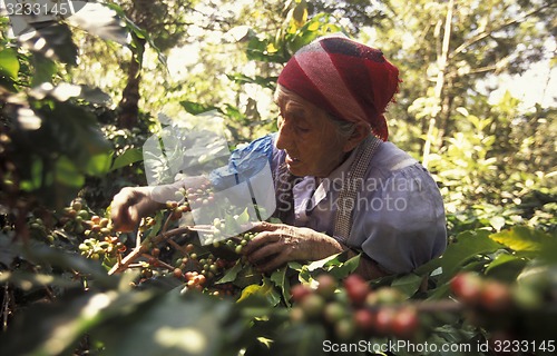 Image of LATIN AMERICA KOFFEE