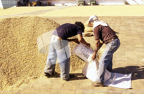 Image of LATIN AMERICA GUATEMALA CHICHI