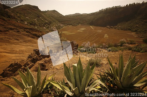 Image of EUROPE SPIAN GRAN CANARY 