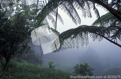 Image of LATIN AMERICA HONDURAS COPAN