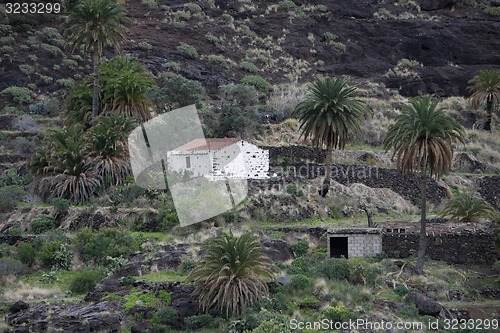 Image of EUROPE SPIAN GRAN CANARY 