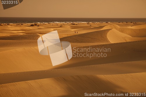 Image of EUROPE SPIAN GRAN CANARY