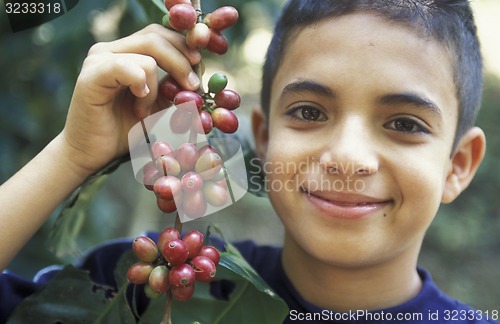 Image of LATIN AMERICA HONDURAS COPAN