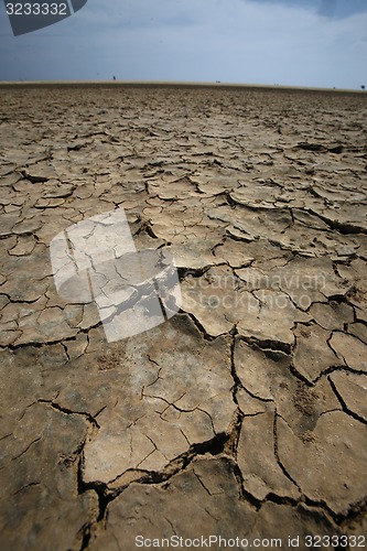 Image of EUROPE CANARY ISLANDS FUERTEVENTURA