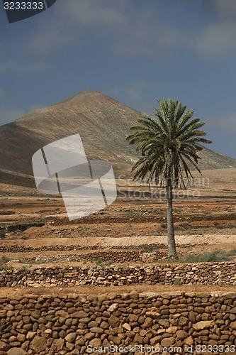 Image of EUROPE CANARY ISLANDS FUERTEVENTURA