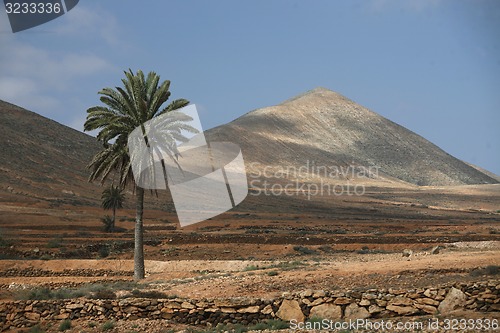 Image of EUROPE CANARY ISLANDS FUERTEVENTURA