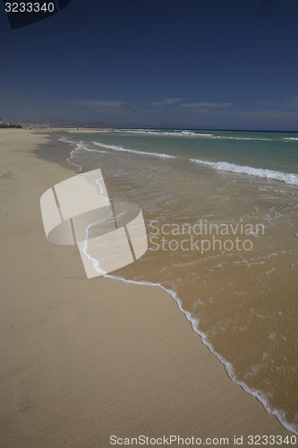 Image of EUROPE CANARY ISLANDS FUERTEVENTURA