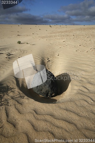 Image of EUROPE CANARY ISLANDS FUERTEVENTURA