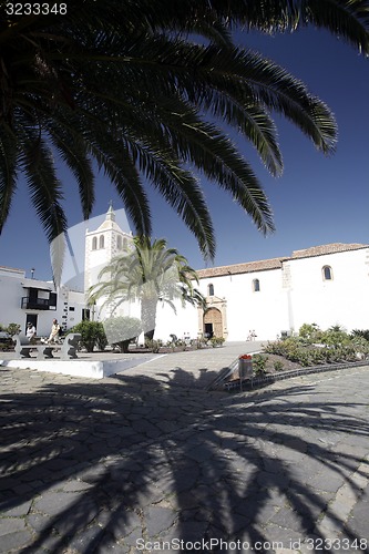 Image of EUROPE CANARY ISLANDS FUERTEVENTURA