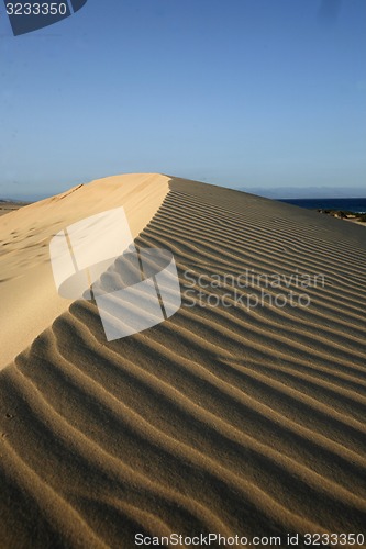 Image of EUROPE CANARY ISLANDS FUERTEVENTURA