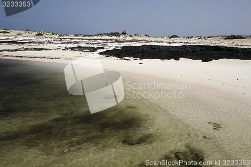 Image of EUROPE CANARY ISLANDS FUERTEVENTURA