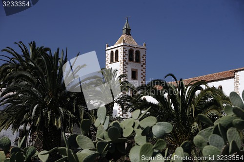 Image of EUROPE CANARY ISLANDS FUERTEVENTURA